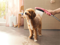 Hansgrohe DogShower