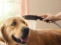 Hansgrohe DogShower