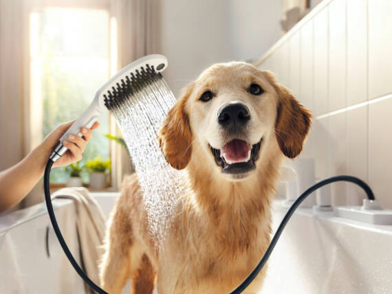 Hansgrohe DogShower